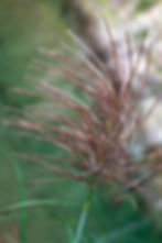 episode08-35_edited_edited