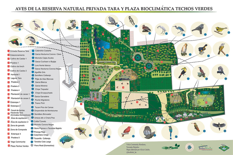 MAPA HACIENDA TARA