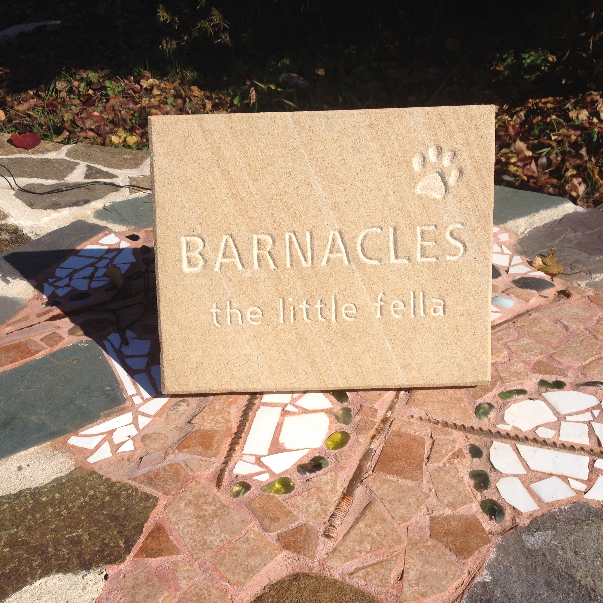 Pet memorial stone