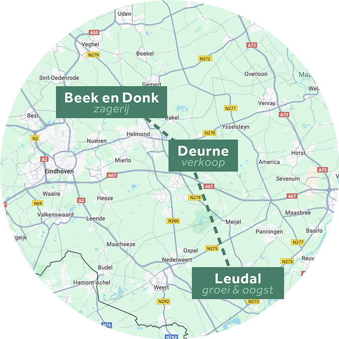 Lokaal-visual.jpg