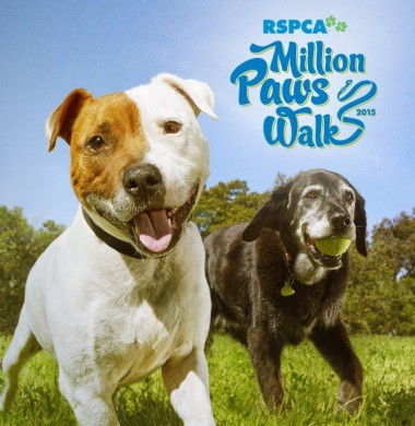 MILLION PAWS WALK