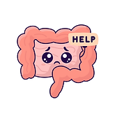 photos site.png
