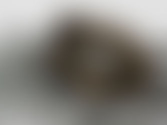 Review - Mortal Engines