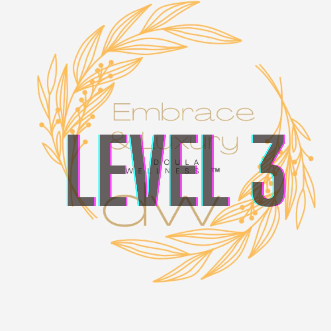 Level 3 Support