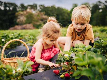 Summer is around the corner!