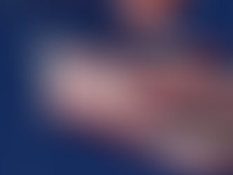 Honoring all who served! Thank you, veterans!