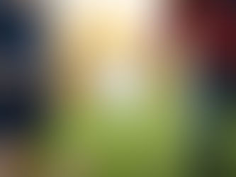 Parental Leave for Household Employees