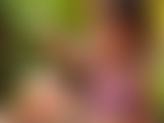 It’s Aloha Friday!