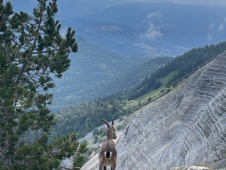 Tour des Gémeaux – Mont Aiguille
