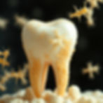 Tooth plaque takes only 3 months to organize to  become damaging.