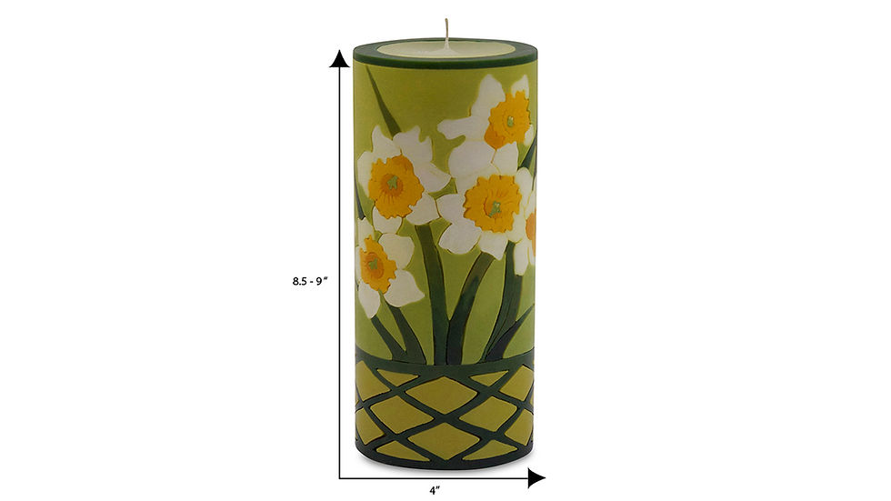 Thumbnail: Daffodil and Narcissus