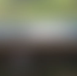 Buenas practicas de verano para la ganadería familiar de cría