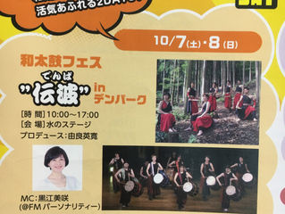 今日はデンパーク!