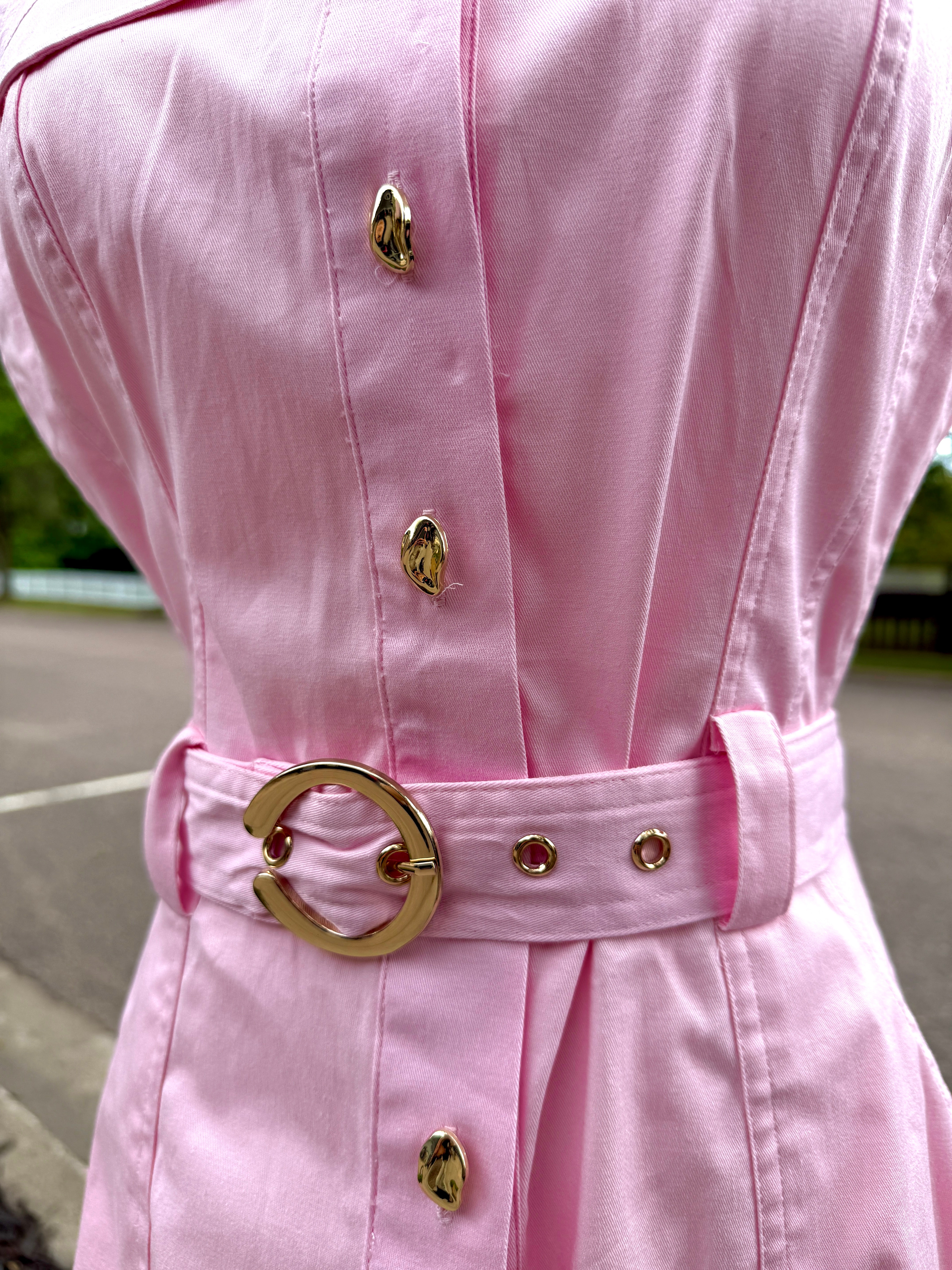 Sleeveless Belted Button Front Mini Dress