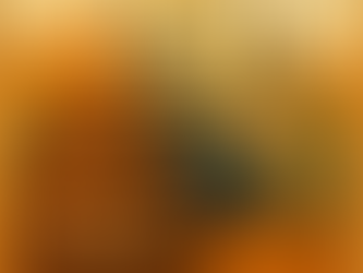 1 Ano de Safira Cafés Especiais – Uma História que Brota do Coração da Região de Pinhal