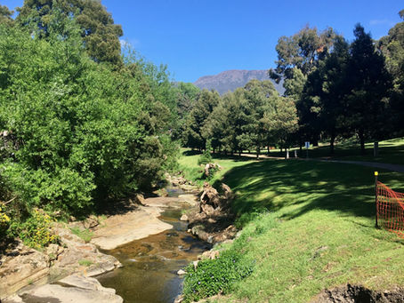 Walking the Rivulet