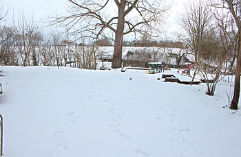 IMG_1398.jpg