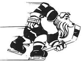 Alumni Profile: Ken Lovsin