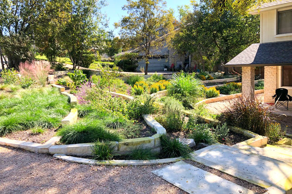 Terraced front yard with native and adapted species valued for their contributions to the ecosystem as pollinators, medicinal herbs and edibles.