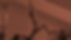 portada 1.png