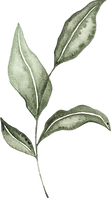 Watercolor Leaves