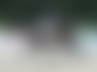 Přehlídka tříletých koní Hradištko