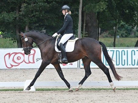 Přehlídka tříletých koní Hradištko