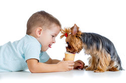 My Walk With Jesus Devotional Bible