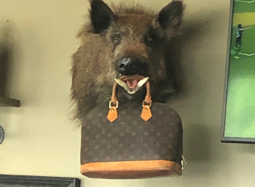 Don't Be Boar-ish