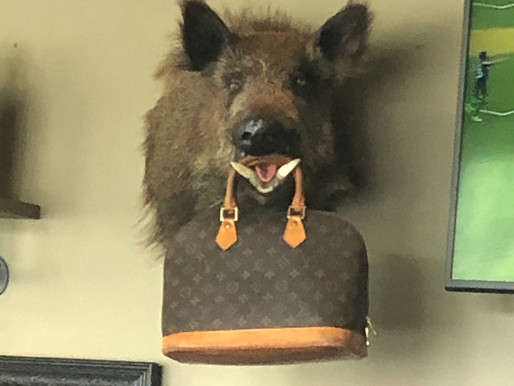 Don't Be Boar-ish