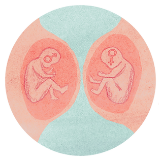 fetus spot illo.png