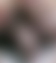 Homemade Gluten Free Oreos