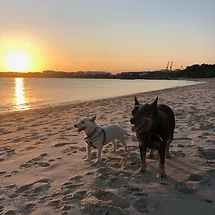 sweetie and Narla.webp