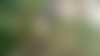 当たり前を守り続けるということ