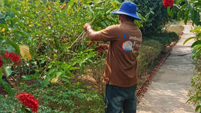 南国鯛養殖場にドリアンの種を植えた日