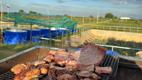 都会を持って行く旅 南国鯛。養殖場巡りツアー