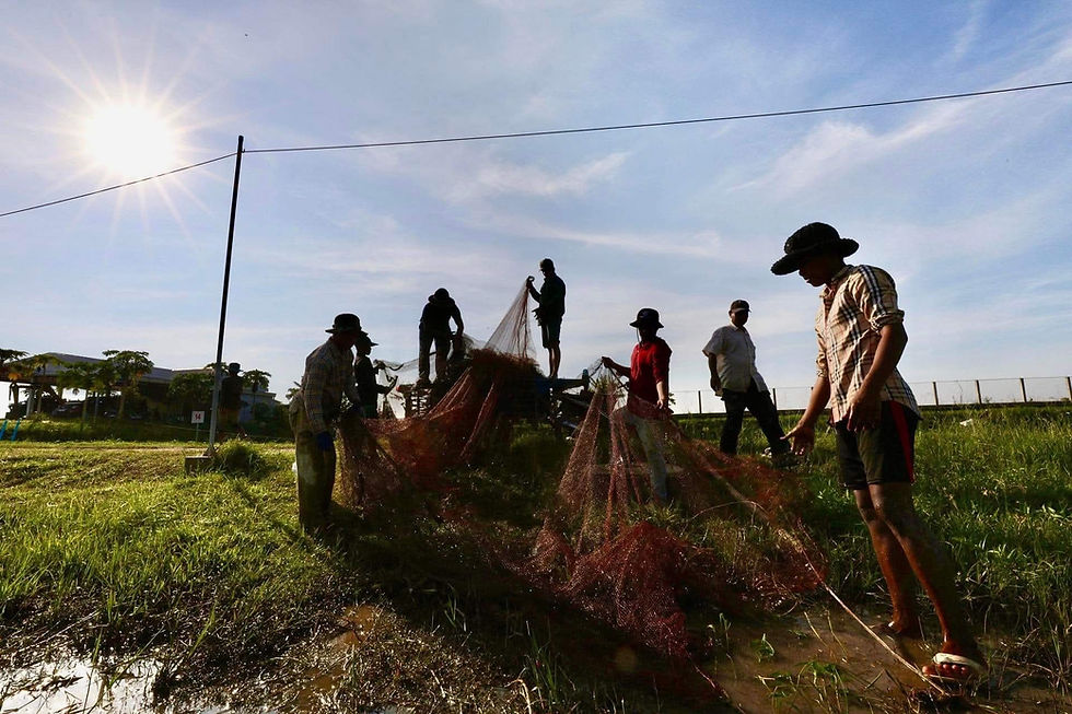 🐟️✨️村に生かされ、11月も前へ