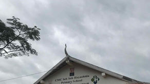 ✨🦷子供達への 歯磨き指導×南国鯛ふりかけプレゼント企画