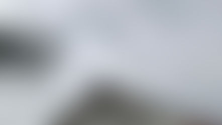 ✨🦷子供達への 歯磨き指導×南国鯛ふりかけプレゼント企画