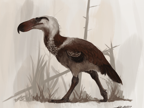 Potential largest terror bird uncovered in Colombia 