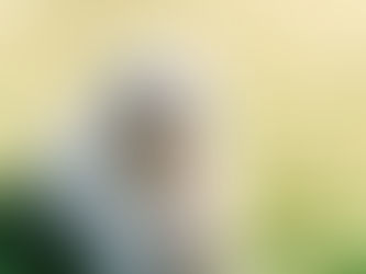 Wat is een Blindengeleidehond