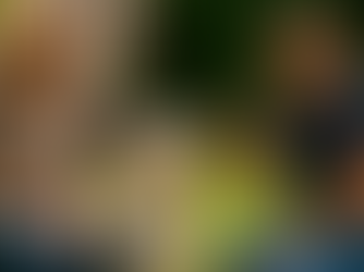 Privé hondentraining aan huis in Appelscha met Yvonne van der Meer – persoonlijke begeleiding voor hondengedrag, rust en structuur in de thuissituatie