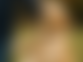 Golden Retriever die opspringt en in de mouw van zijn eigenaar bijt – duidelijk voorbeeld van ongewenst gedrag bij honden.