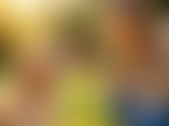 hond trainen met beloning snack geven buiten