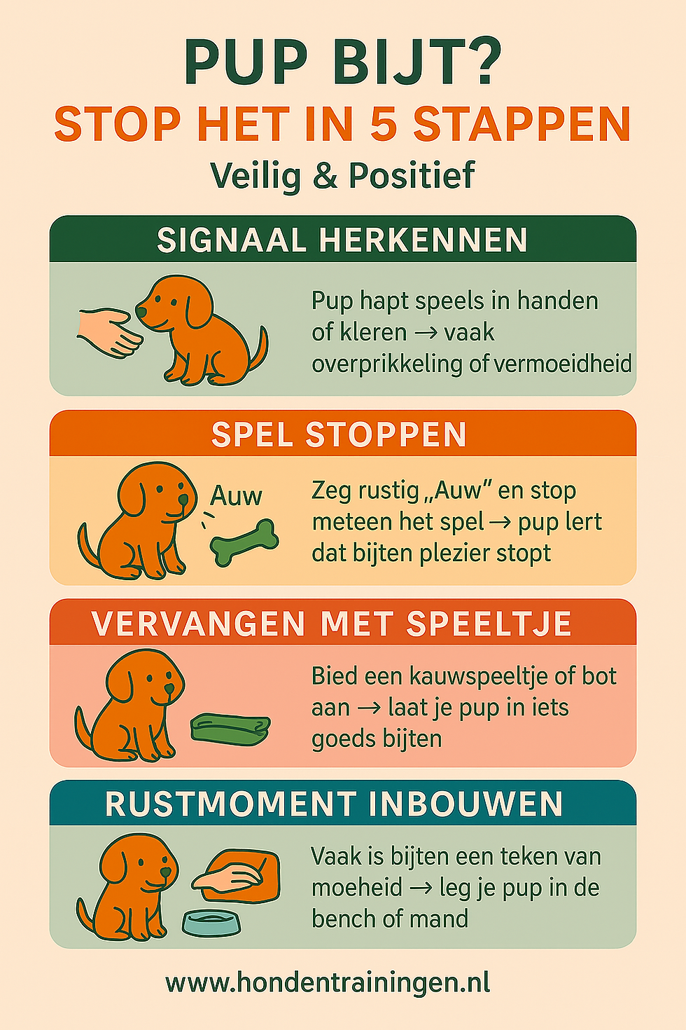 pup-bijt-stoppen-in-5-stappen-hondentrainingen.png