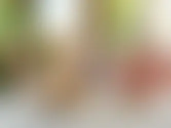 Puppy Bijt - Puppy bijten Afleren – Compleet Stappenplan 2025