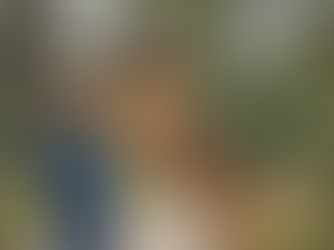 hond springt tegen persoon op tijdens begroeting