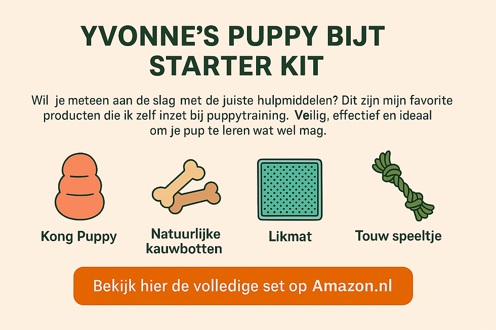 Puppy Bijt Starter Kit met Kong Puppy, natuurlijke kauw botten, likmat en touw speeltje