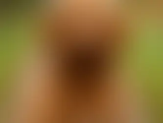 Australian Cobberdog bij hondentrainingen