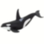 Orca Figurine: Majestic Killer Whale, Hand-Painted & BPA-Free Collectible